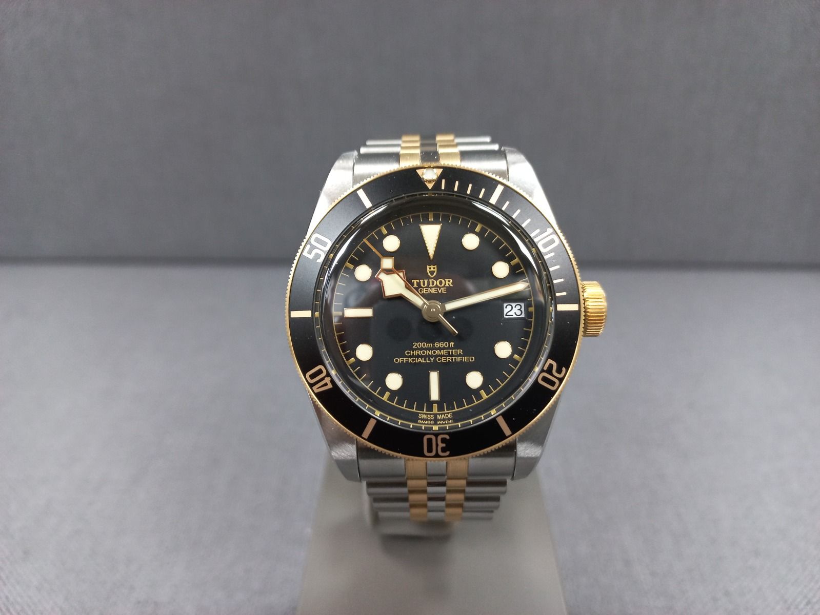 Tudor Black Bay S&G Heritage 79733N