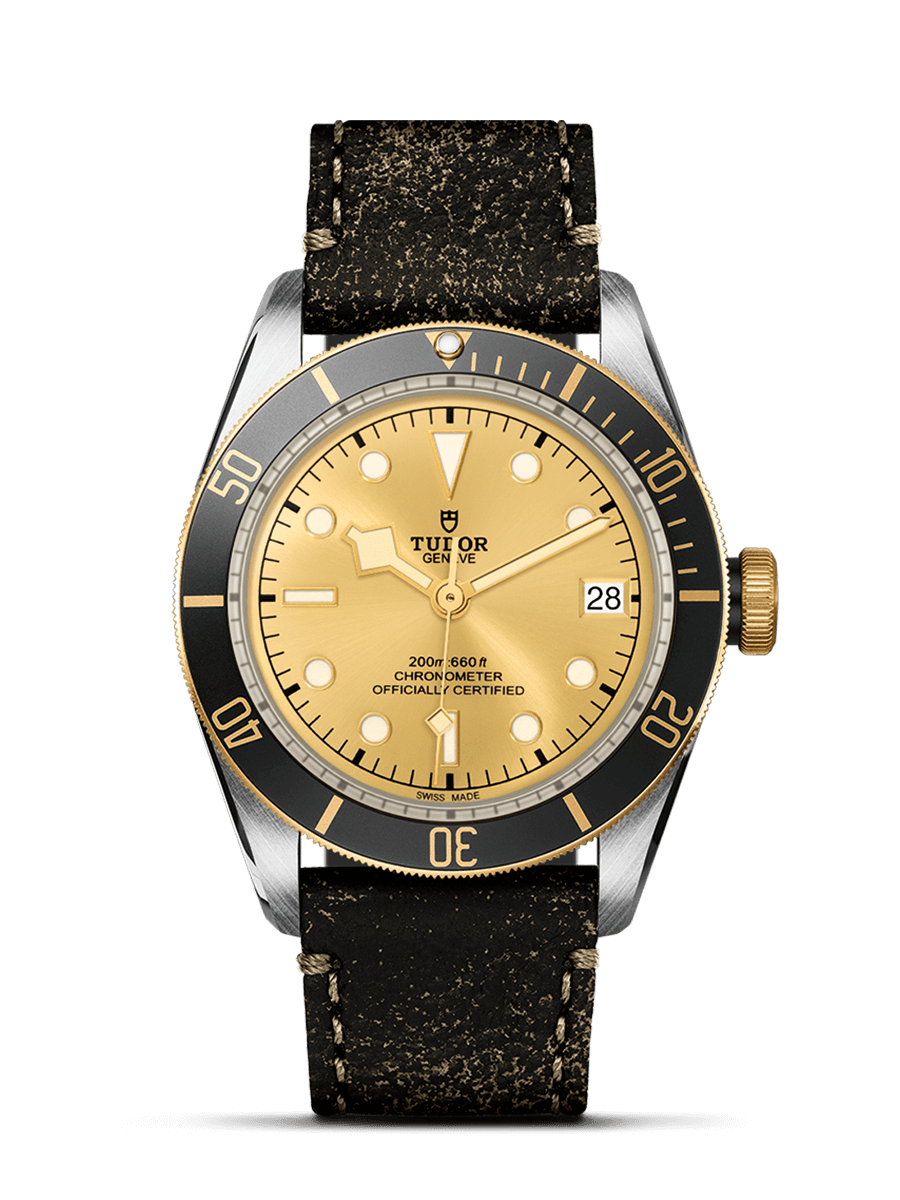 Tudor Black Bay S&G Champagne / Aged Leather