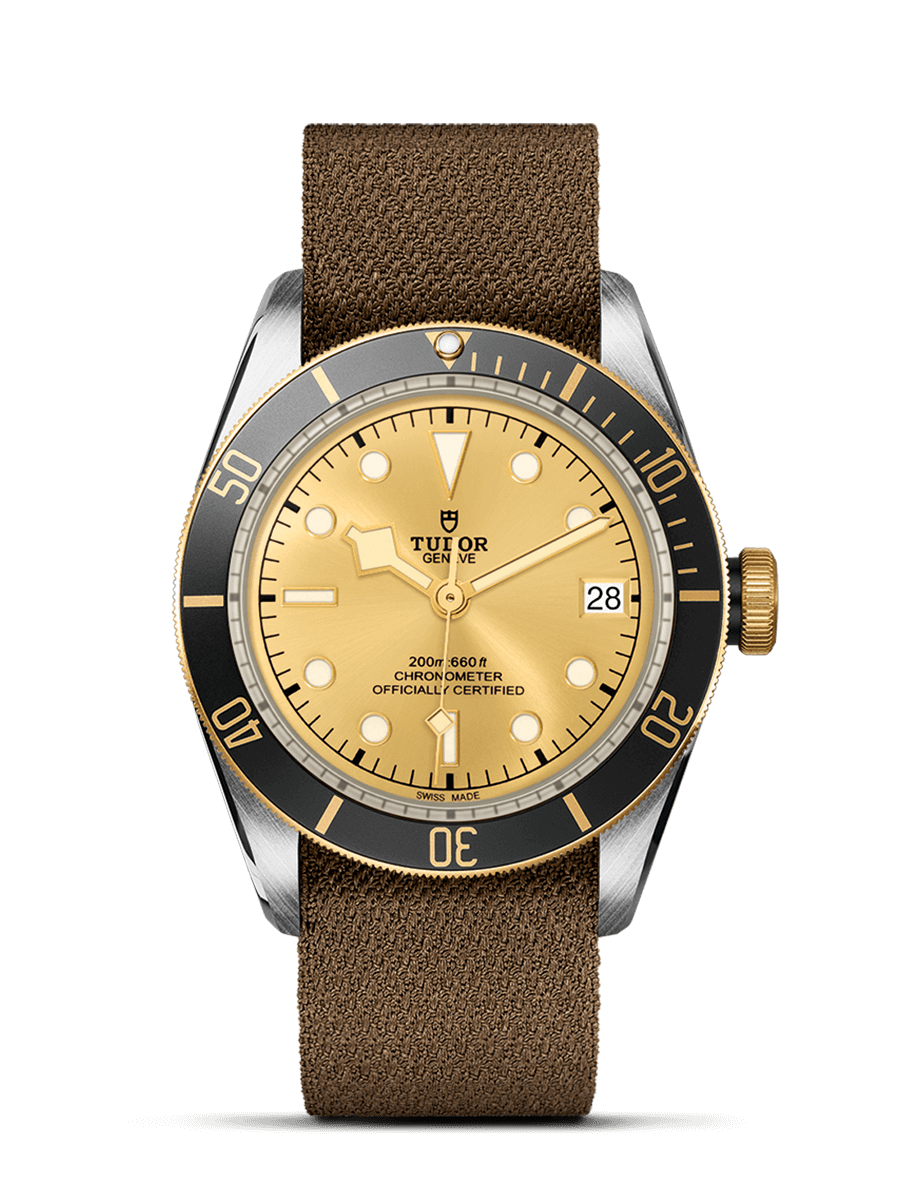 Tudor Black Bay S&G Champagne / Fabric